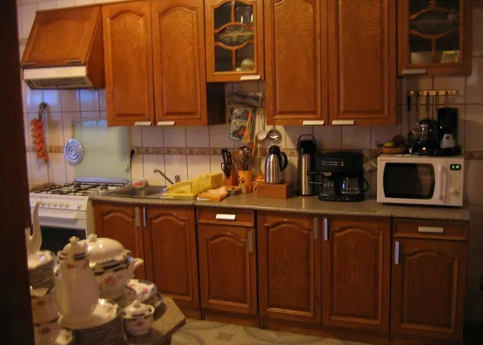 Vila Vlad Târgu Neamţ